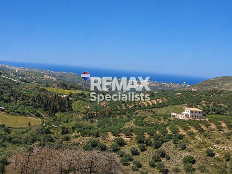 Οικόπεδο 13.000 τ.μ. για πώληση