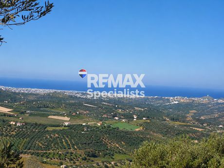 Αγροτεμάχια 3.400 τ.μ. για πώληση