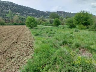 Οικόπεδο 2.500 τ.μ. για πώληση