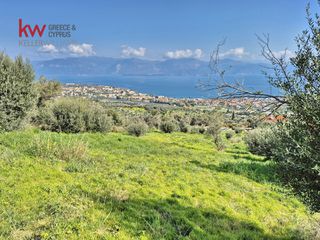 Οικόπεδο 928 τ.μ. για πώληση