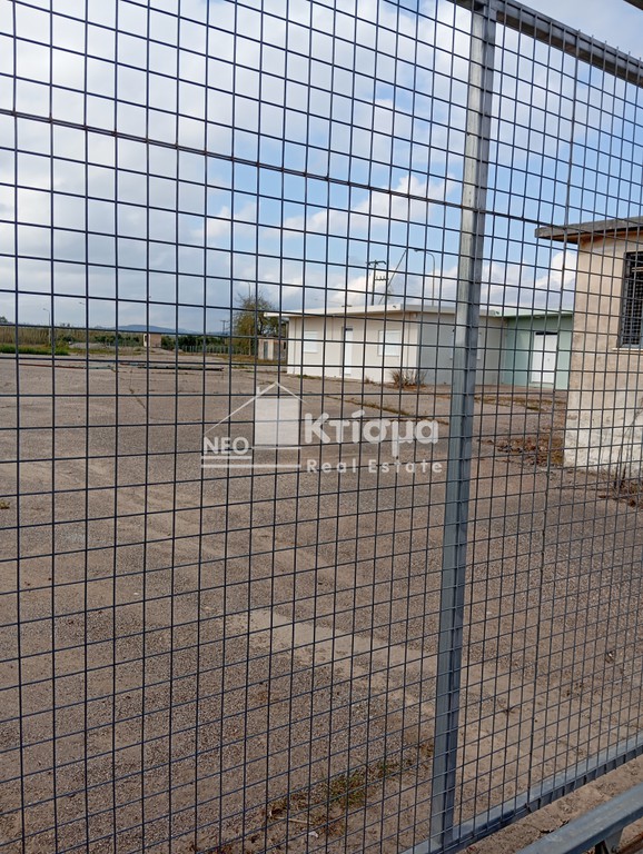 Βιομηχανικός χώρος 30.000 τ.μ. πρός ενοικίαση, Ν. Ηλείας, Πύργος