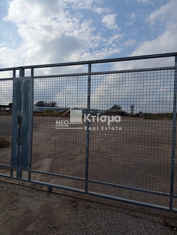 Βιομηχανικός χώρος 30.000 τ.μ. πρός ενοικίαση, Ν. Ηλείας, Πύργος