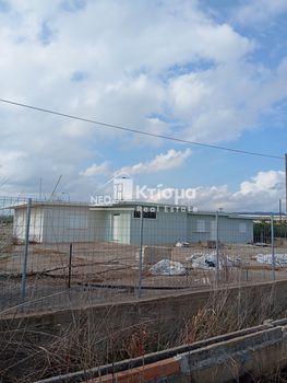 Βιομηχανικός χώρος 30.000 τ.μ. προς ενοικίαση