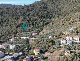 Αγροτεμάχια 950 τ.μ. για πώληση