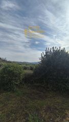 Οικόπεδο 750 τ.μ. για πώληση