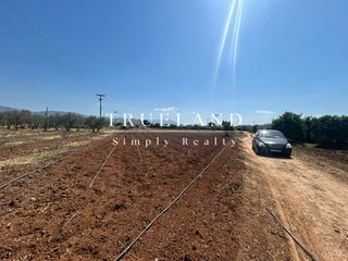 Οικόπεδο 1.705,41 τ.μ. για πώληση, Αργολίδα, Μιδέα-thumb-11