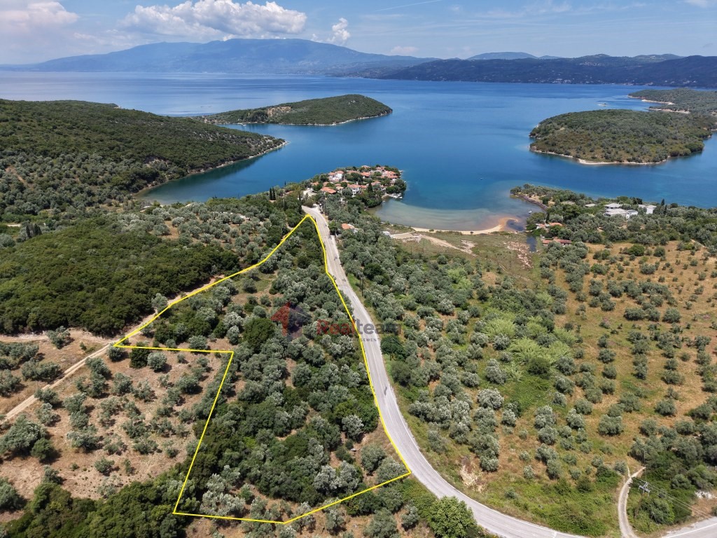 Οικόπεδο 7.276 τ.μ. πρός πώληση, Μαγνησία, Σηπιάδα