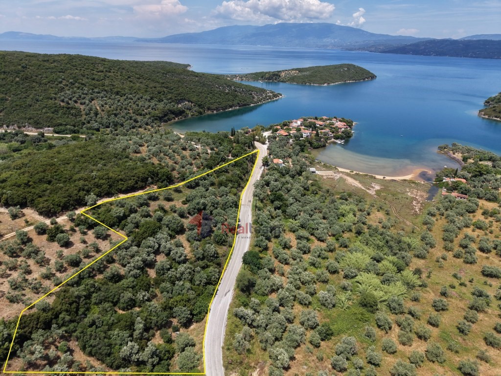Οικόπεδο 7.276 τ.μ. πρός πώληση, Μαγνησία, Σηπιάδα