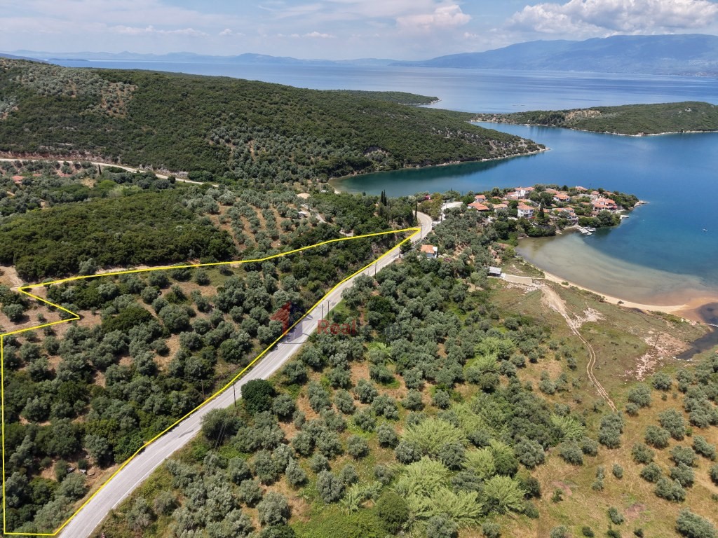 Οικόπεδο 7.276 τ.μ. πρός πώληση, Μαγνησία, Σηπιάδα