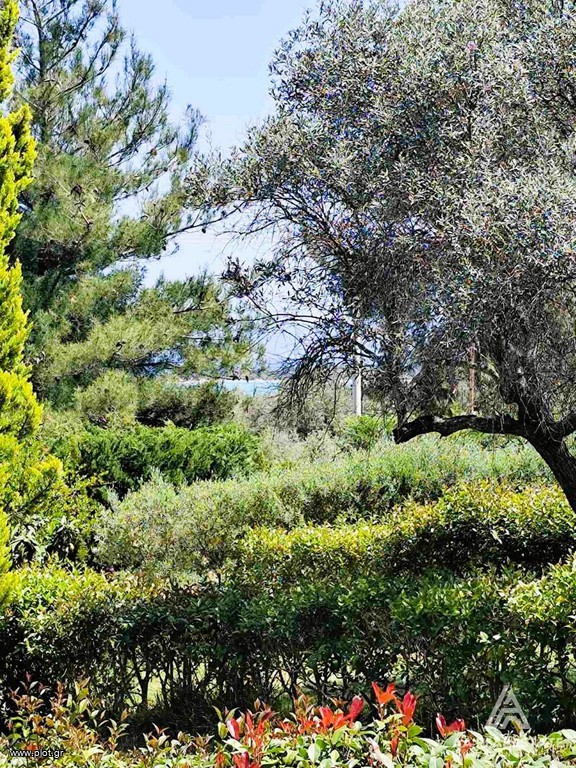 Μεζονέτα 115 τ.μ. πρός πώληση, Χαλκιδική, Σιθωνία