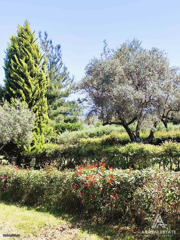Μεζονέτα 115 τ.μ. πρός πώληση, Χαλκιδική, Σιθωνία