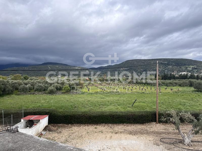 Αγροτεμάχια 11.850 τ.μ. για πώληση, Ν. Σάμου, Σάμος