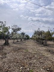 Αγροτεμάχια 11.850 τ.μ. για πώληση, Ν. Σάμου, Σάμος-thumb-2