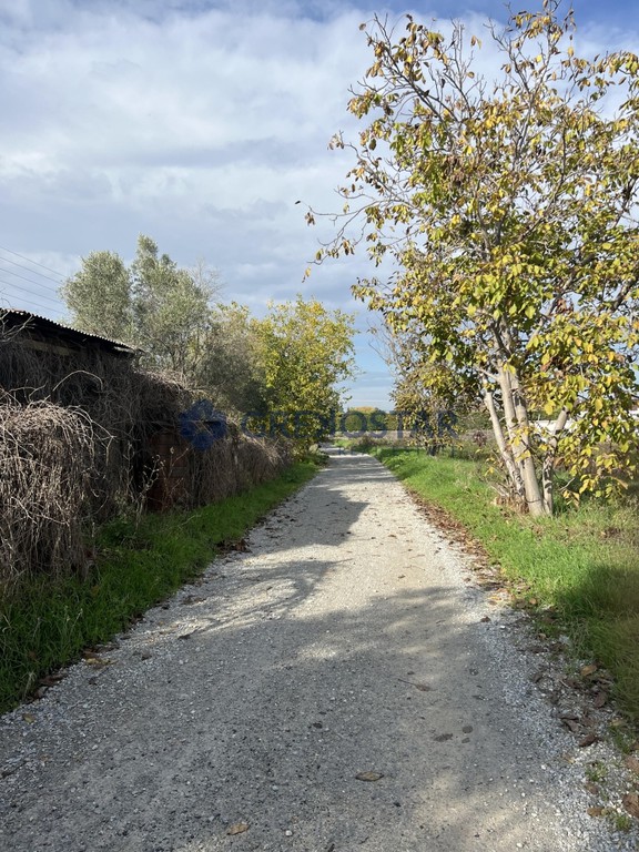 Αγροτεμάχια 9.050 τ.μ. προς πώληση, Θεσσαλονίκη - Περιφ/Κοί Δήμοι, Θέρμη