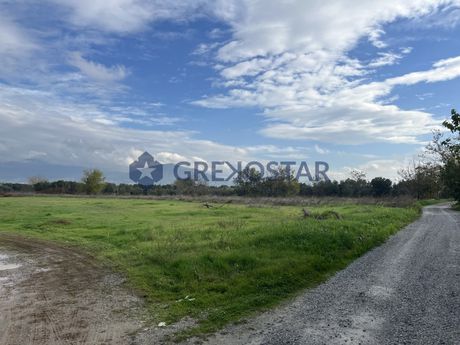 Αγροτεμάχια 9.050 τ.μ. προς πώληση