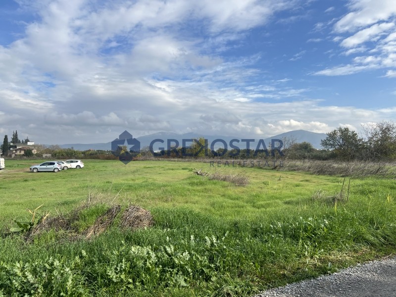 Αγροτεμάχια 9.050 τ.μ. προς πώληση, Θεσσαλονίκη - Περιφ/Κοί Δήμοι, Θέρμη