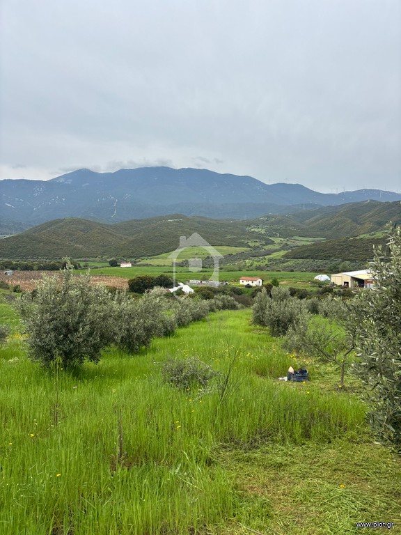 Αγροτεμάχια 74.867 τ.μ. προς πώληση, Άγιος Βλάσιος Χαιρώνειας