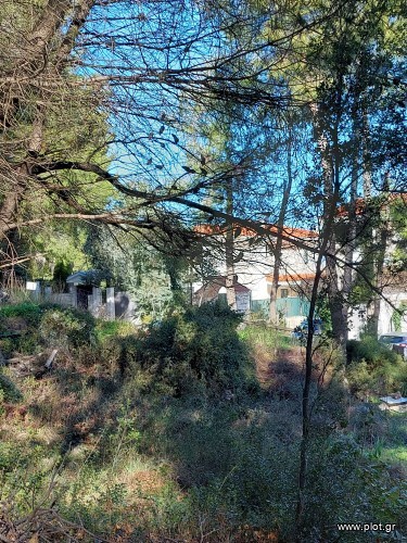 Οικόπεδο 1.530 τ.μ. προς πώληση, Κέντρο Διονύσου