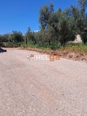 Οικόπεδο 838 τ.μ. πρός πώληση, Αχαΐα, Πάτρα-thumb-23