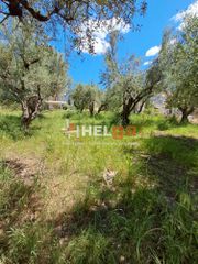 Οικόπεδο 838 τ.μ. πρός πώληση, Αχαΐα, Πάτρα-thumb-38
