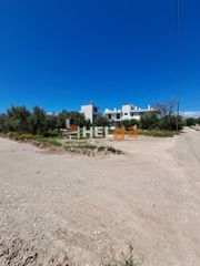 Οικόπεδο 838 τ.μ. πρός πώληση, Αχαΐα, Πάτρα-thumb-46