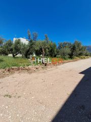 Οικόπεδο 838 τ.μ. πρός πώληση, Αχαΐα, Πάτρα-thumb-33