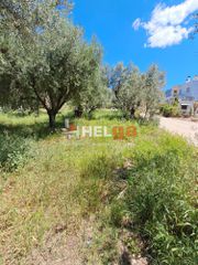 Οικόπεδο 838 τ.μ. πρός πώληση, Αχαΐα, Πάτρα-thumb-35