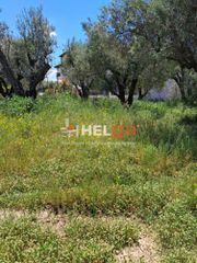 Οικόπεδο 838 τ.μ. πρός πώληση, Αχαΐα, Πάτρα-thumb-14
