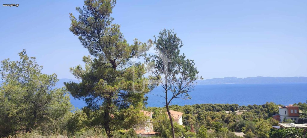 Οικόπεδο 1.028 τ.μ. πρός πώληση, Φθιώτιδας, Μαλεσίνα