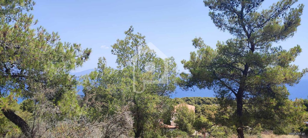 Οικόπεδο 1.028 τ.μ. πρός πώληση, Φθιώτιδας, Μαλεσίνα