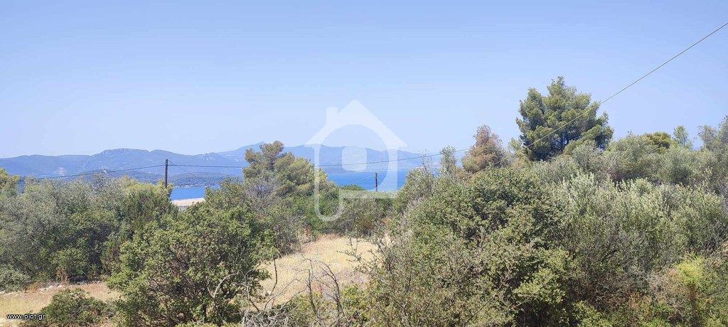 Οικόπεδο 1.028 τ.μ. πρός πώληση, Φθιώτιδας, Μαλεσίνα