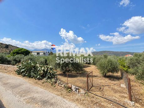 Land plot 2.890 sqm for sale