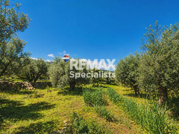Land plot 2.890 sqm for sale, Chania Prefecture, Armenoi