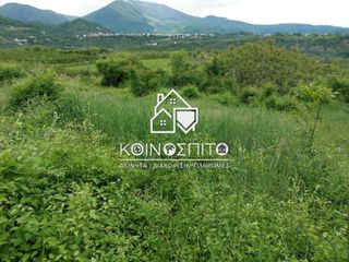Αγροτεμάχια 3.500 τ.μ. για πώληση