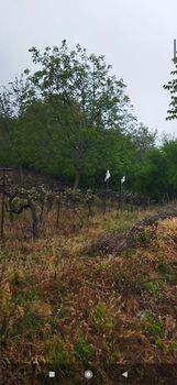 Land plot 3 sqm for sale