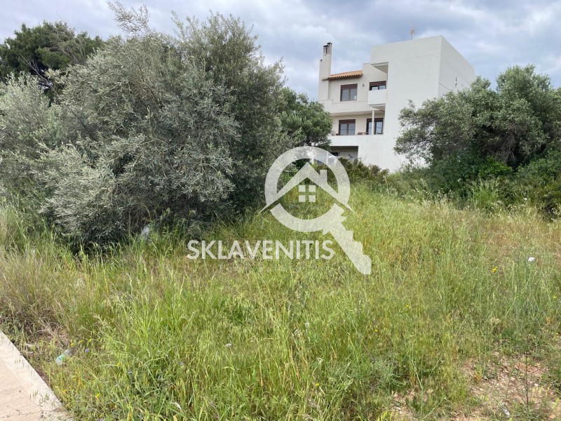Οικόπεδο 710 τ.μ. πρός πώληση, Αθήνα - Ανατολικά Προάστια, Αρτέμιδα (λούτσα)