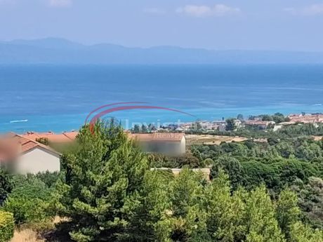 Αγροτεμάχια 4.000 τ.μ. προς πώληση