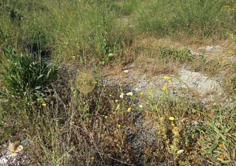 Οικόπεδο 470 τ.μ. για πώληση