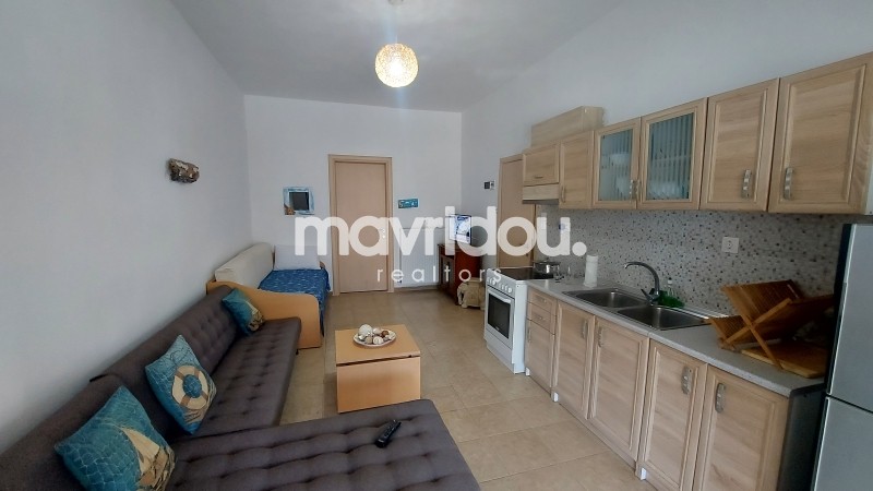Studio / γκαρσονιέρα 45 τ.μ. πρός πώληση, Ν. Ροδόπης, Αίγειρος