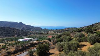 Αγροτεμάχια 6.808 τ.μ. για πώληση