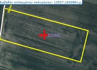 Αγροτεμάχια 12.527 τ.μ. για πώληση