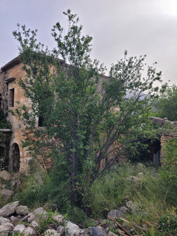 Μονοκατοικία 162 τ.μ. πρός πώληση, Ν. Χανίων, Κρυονερίδα