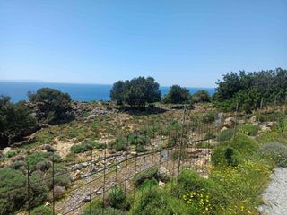 Οικόπεδο 26.000 τ.μ. για πώληση