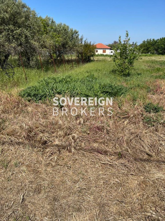 Αγροτεμάχια 250 τ.μ. προς πώληση, Σωζόπολη