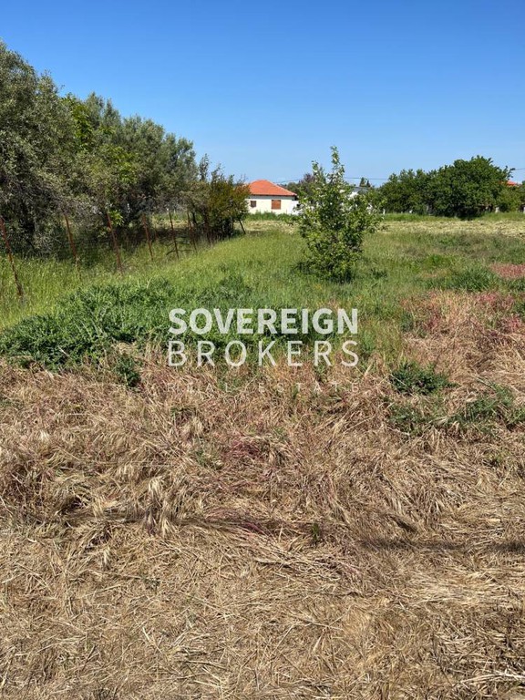 Αγροτεμάχια 250 τ.μ. προς πώληση, Σωζόπολη