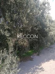 Οικόπεδο 500 τ.μ. προς πώληση, Αθήνα - Βόρεια Προάστια, Πεντέλη-thumb-3