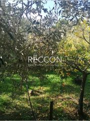 Οικόπεδο 500 τ.μ. προς πώληση, Αθήνα - Βόρεια Προάστια, Πεντέλη-thumb-2