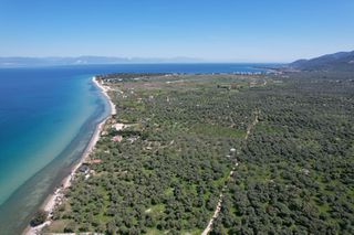 Αγροτεμάχια 1.446 τ.μ. για πώληση, Ν. Καβάλας, Θάσος-thumb-2
