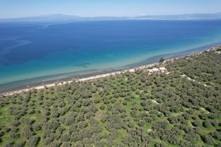 Αγροτεμάχια 1.446 τ.μ. για πώληση, Ν. Καβάλας, Θάσος-thumb-5