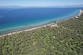Αγροτεμάχια 1.446 τ.μ. για πώληση, Ν. Καβάλας, Θάσος-thumb-6